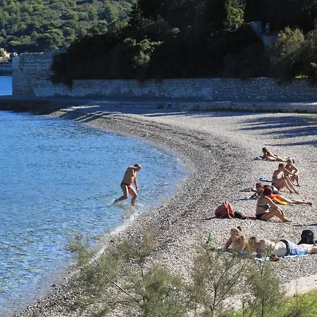 With Wifi - 8872 Βις