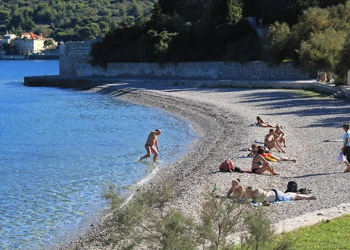 With Wifi - 8872 Βις