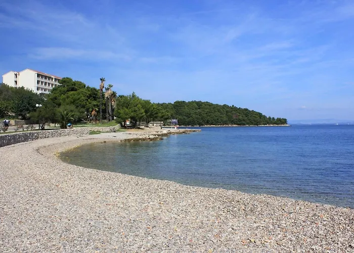 With Wifi - 8872 Βις