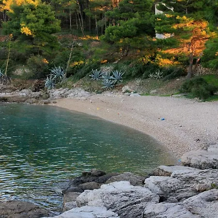 Lejlighed With Wifi - 8872